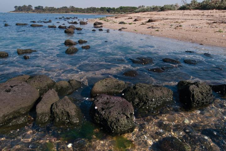 Point Cooke Marine Sanctuary